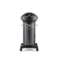 Fuego Living Element 2-Burner Propane Gas Grill