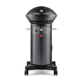 Fuego Living Professional 2-Burner Propane Gas Grill