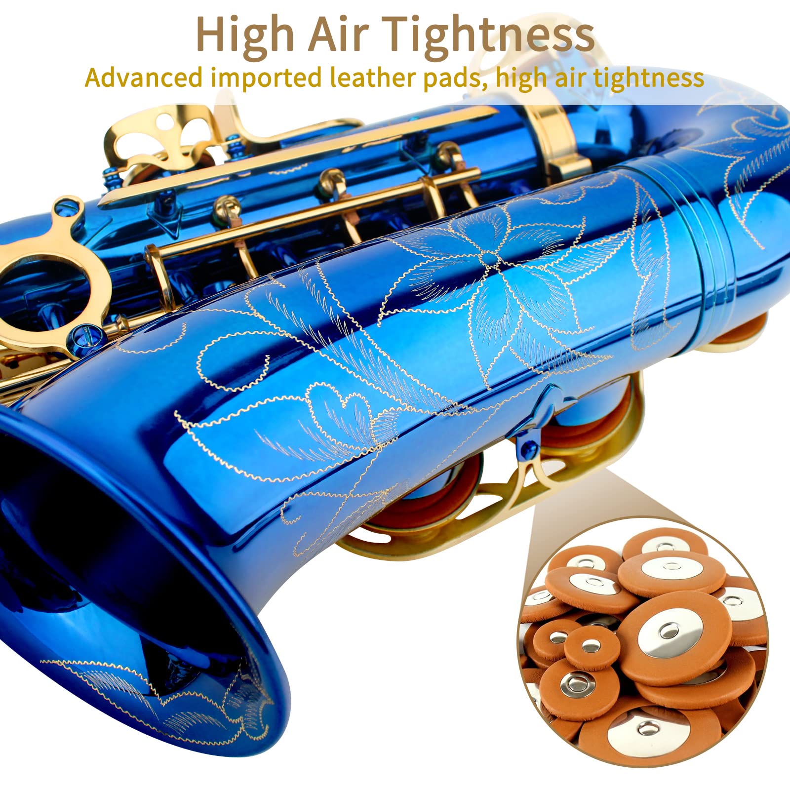 Saxophone Beginners Students Saxophones Beginner