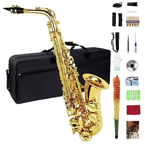 Saxophone Beginners Students Saxophones Beginner